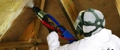 Spray Foam Insulation Houston - Home Improvements
