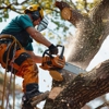 Levi's Tree Service gallery