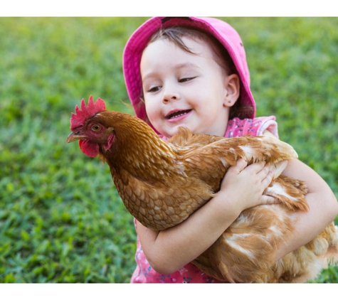 St Mary MacKillop Early Learning Centre - Kirwan, QLD