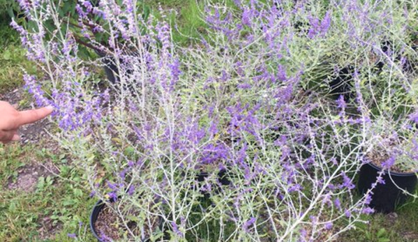 Paul Kellogg's Garden Center & Nursery Center - Hamlin, PA