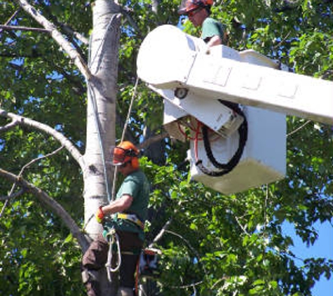 Stillwell's Tree Services - Florence, KY