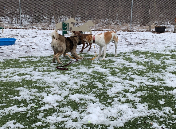 Orphans of the Storm Animal Clinic - Riverwoods, IL