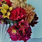 Gallery Image Number 2