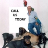 Dog Training by Bob Maida gallery