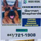 Regis Regal German Shepherds
