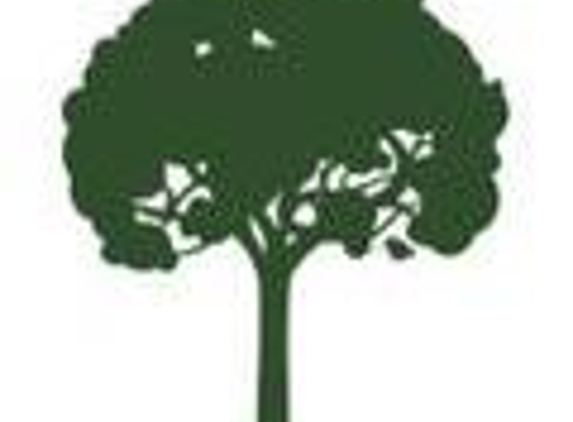 Absolute Tree Service - Elkhorn, NE