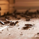 Mehlville Termite & Pest Control Inc - Pest Control Equipment & Supplies