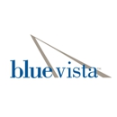 Blue Vista - Investment Management