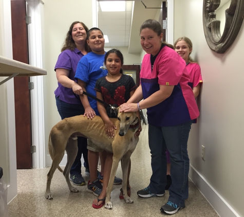 Goose Creek Pet Care (Veterinary Hospital with home visits) - Franklin, TN. Nordic, the coolest greyhound just adopted by a very sweet family :-)
