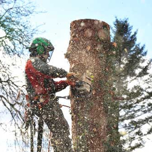 All Tree Services Aust. - Andergrove, QLD