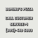 Domino's Pizza - Pizza
