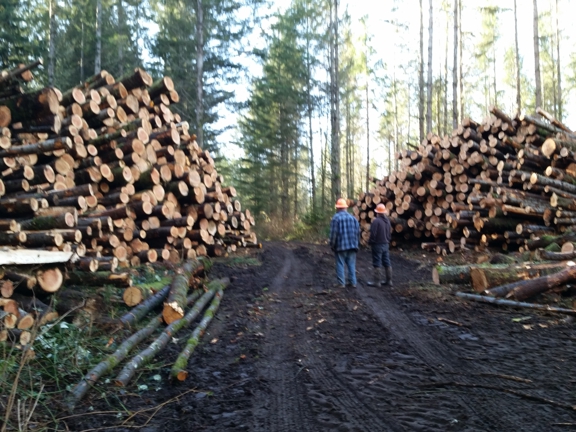 American Forest Lands Washington Logging Company LLC. Forestry Services offered by American Forest Lands WA Logging Company. Your BBB Trusted Loggers! Call: 1-800-LOG-ALOT(564-2568). Pacific NW