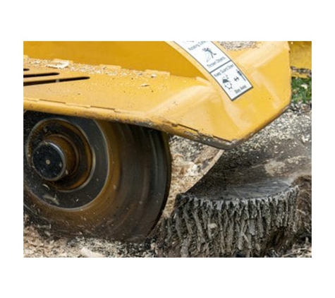 All About Tree Services QLD - Elanora, QLD