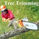 Avalawn Tree Service - Tree Service