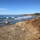 Friends of the Elephant Seal