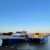 Gallery Image Number 6