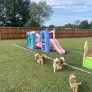 Bellarose Kennels - Pet Breeders