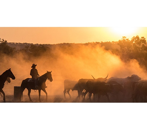 Rapid Legal Solutions - Charters Towers City, QLD