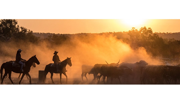 Rapid Legal Solutions - Kirwan, QLD