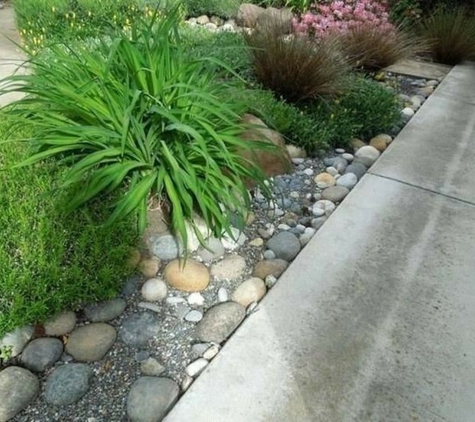 South Florida Landscaping Services, Inc. - Homestead, FL. Landscaping ideas for walkway low maintenance