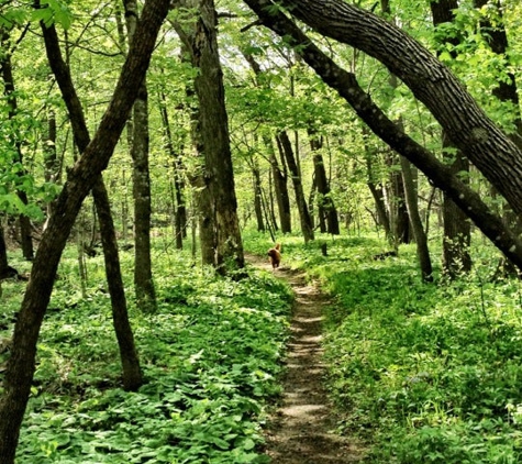 Fort Defiance State Park - Estherville, IA