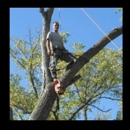 Norris Tree Service - Tree Service