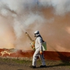 Advanced Pest Related Services Inc gallery