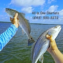 All In One Charters - Fishing Charters & Parties