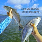 All In One Charters