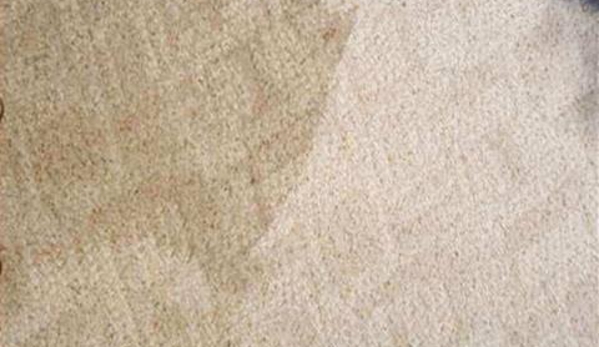 Billy's Carpet Cleaning - Valparaiso, IN