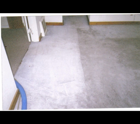 Genuine Carpet Cleaner - Saginaw, MI