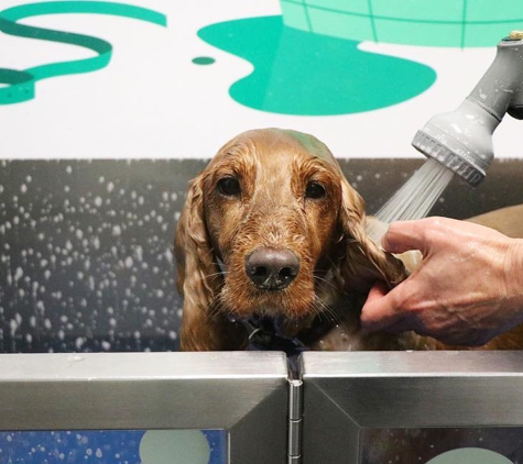 Habitat Pet Supplies - Chirnside Park, VIC