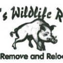 Bobby's Wildlife Removal - Bee Control & Removal Service