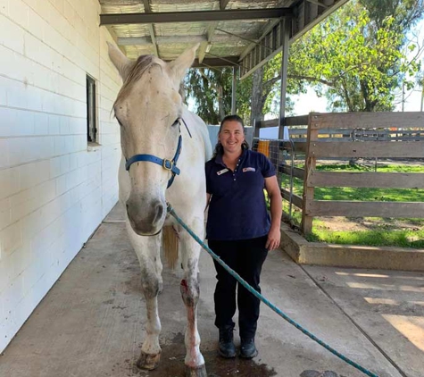 Orange Veterinary Hospital - Orange, NSW