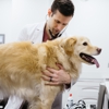 The Animal Cardiology Center - Westchester gallery