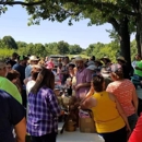 Stevens Auction Service LLC