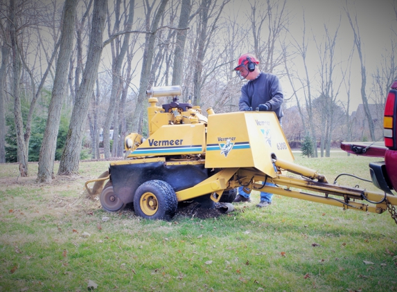 Grieves Stump Removal - Sidney, OH