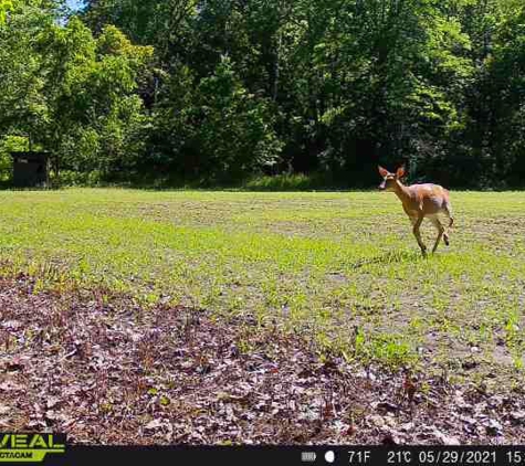 Buck.It Ready - Kaukauna, WI