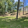Thickets Habitat and Land Works gallery