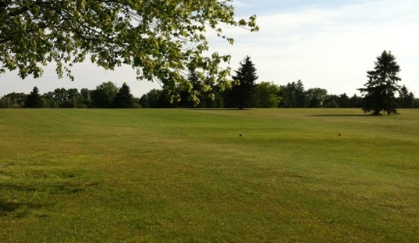 Hi-Level Golf Course - Kossuth, PA