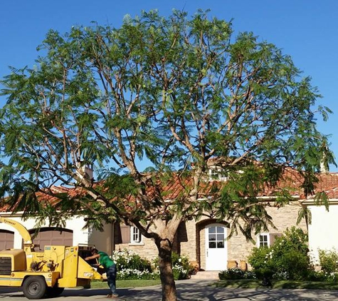 MASTER TREE SERVICES