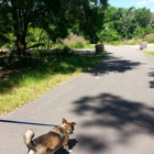 New Tampa Nature Park