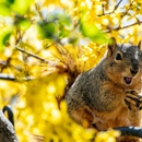 Alert Pest Control Company - Pest Control Equipment & Supplies
