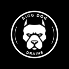 Bigg Dog Drains