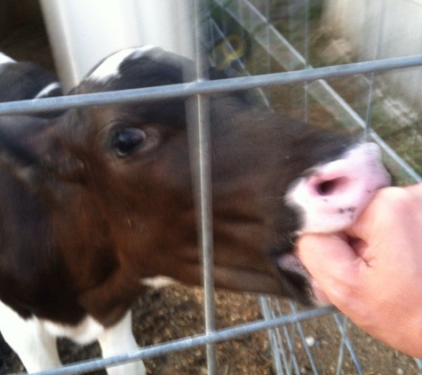 Cook Farm - Hadley, MA