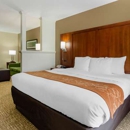 Comfort Suites Abingdon I-81 - Motels