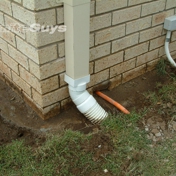 Gallery Image Number 6