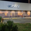 Curaleaf Orlando International Drive gallery