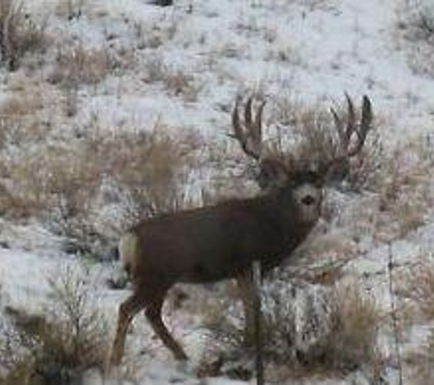 Discounted Hunting Adventures and Vouchers - Longmont, CO