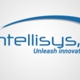 Wintellisys Inc Technology Services